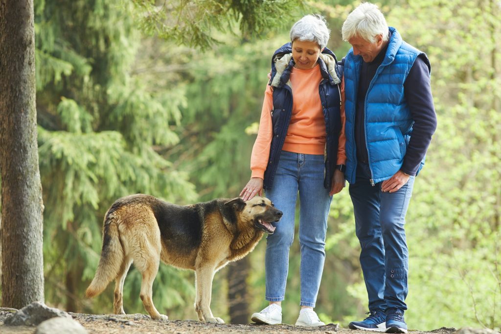 Active Senior Couple Hiking with Dog