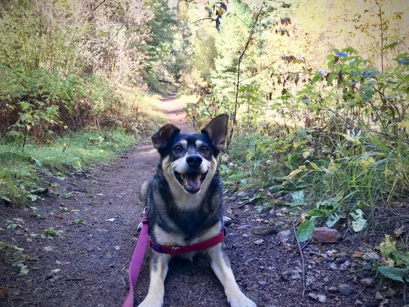 Maggie going for a hike